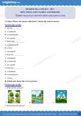 Đề thi học kì 2 Tiếng Anh 5 Family and Friends - Đề số 3